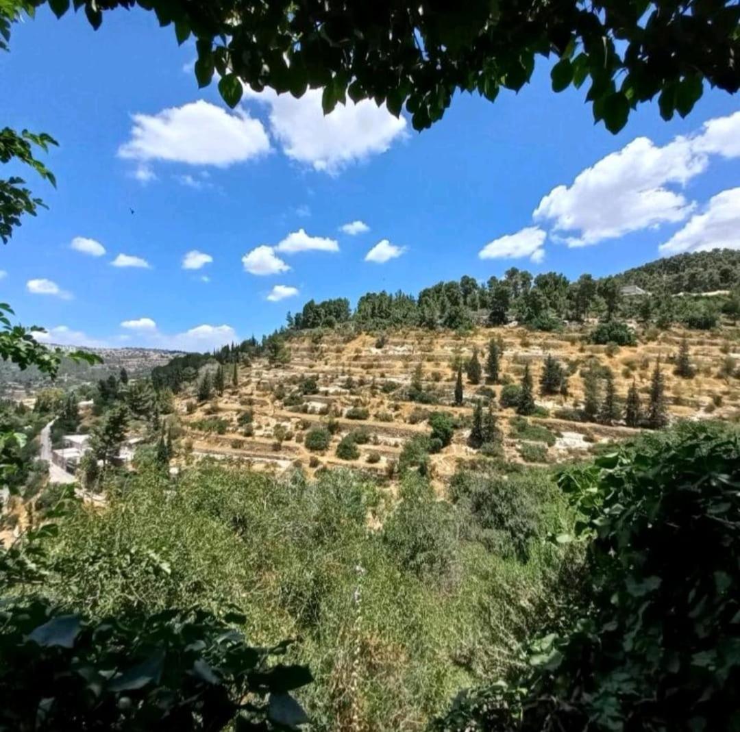 View Of The Valley Guest House Jérusalem Extérieur photo
