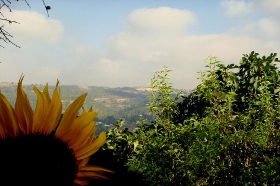 View Of The Valley Guest House Jérusalem Chambre photo